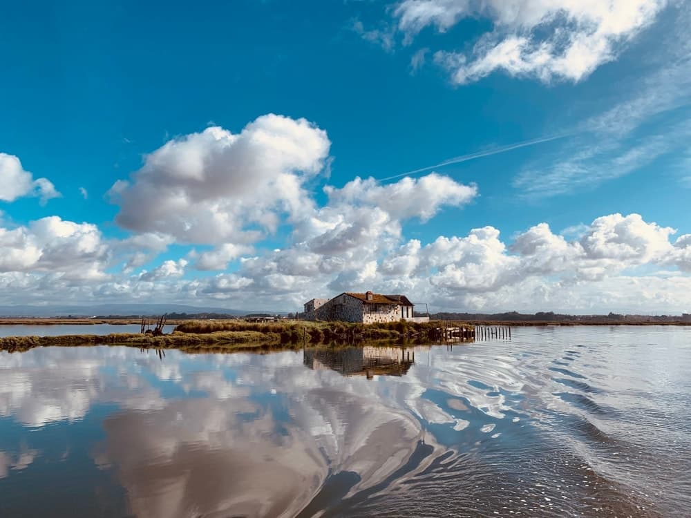 Sterna - EN Estarreja