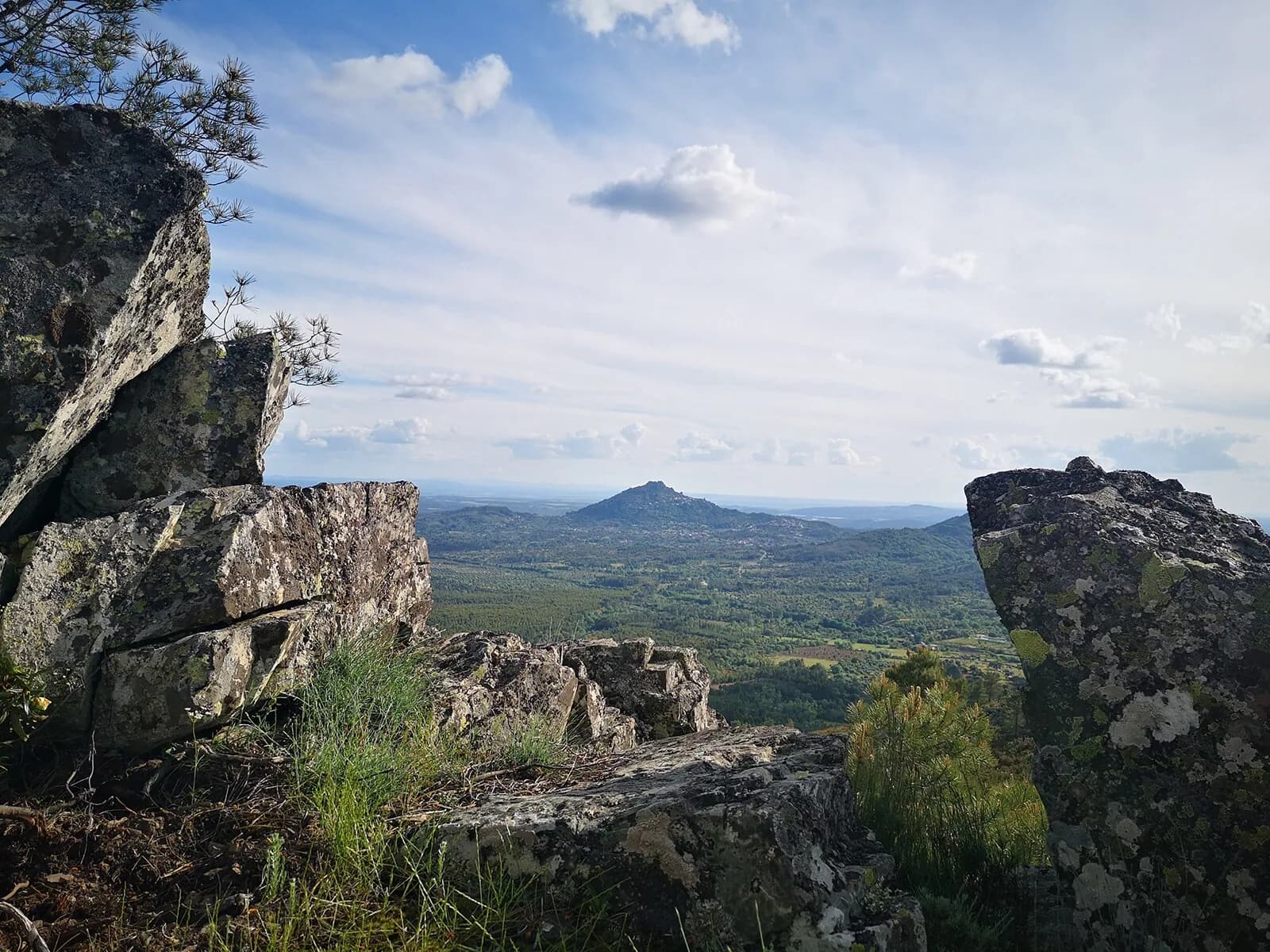 media