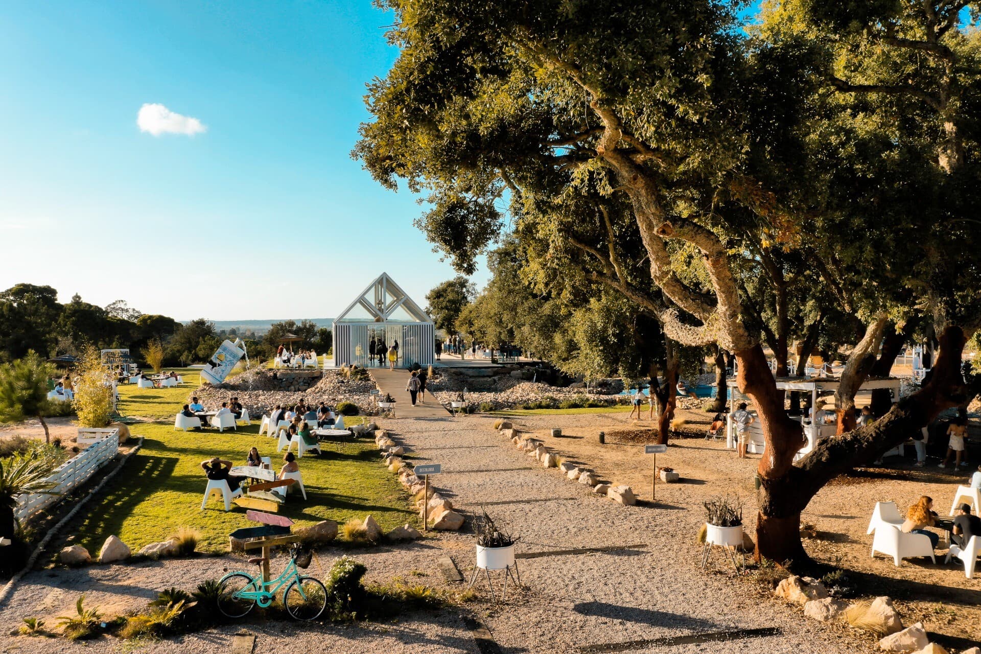 Destilaria Black Pig