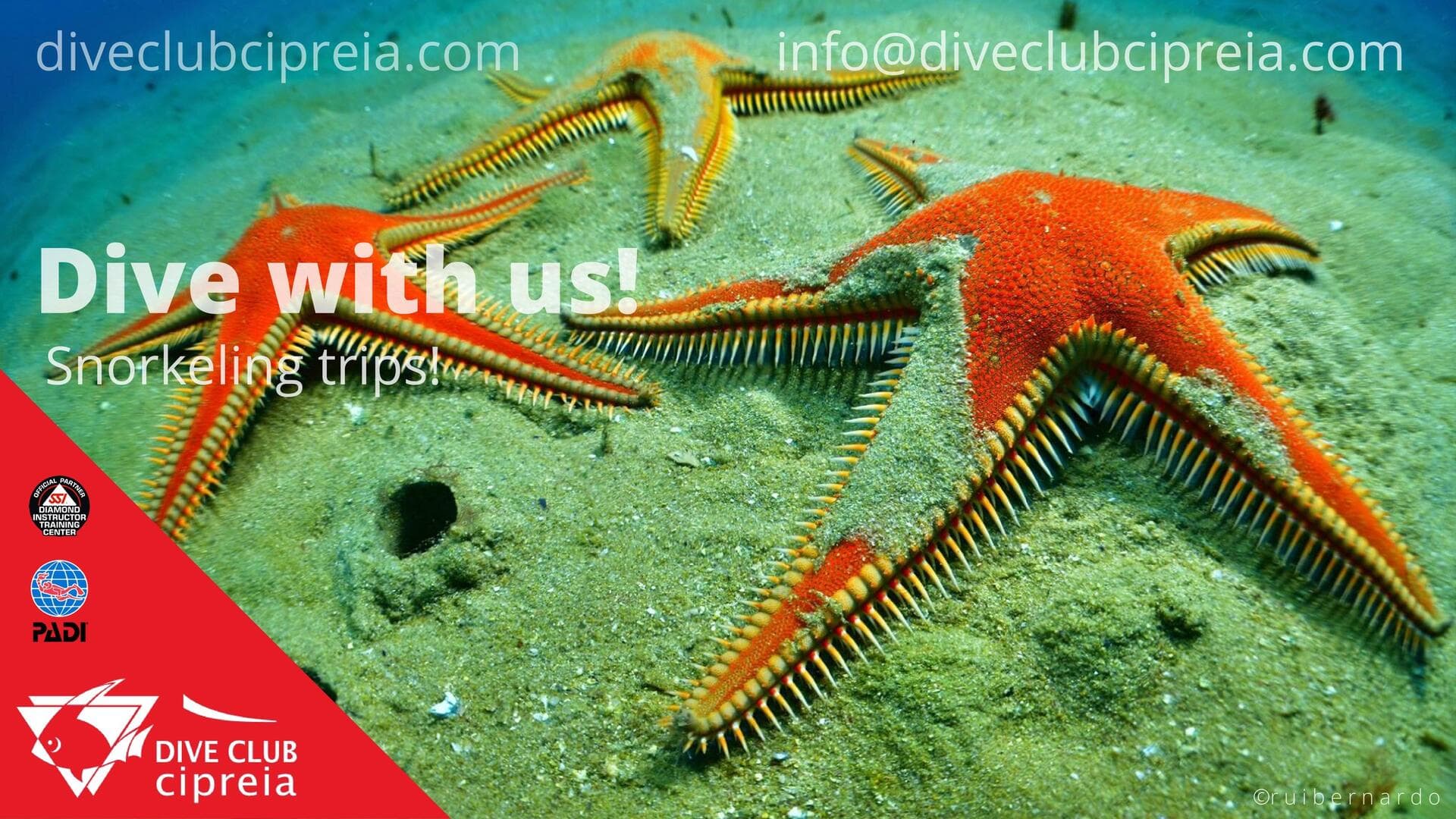 Cipreia Dive Club