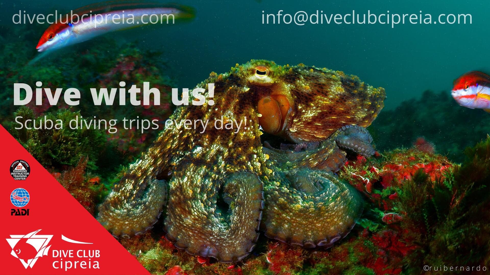 Cipreia Dive Club
