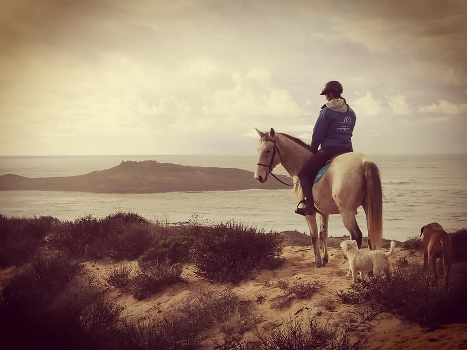 Herdade do Pessegueiro