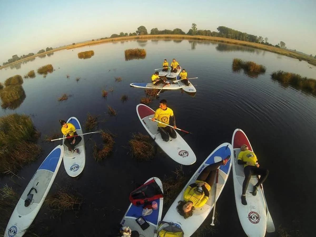 Red Animal Surf & SUP School