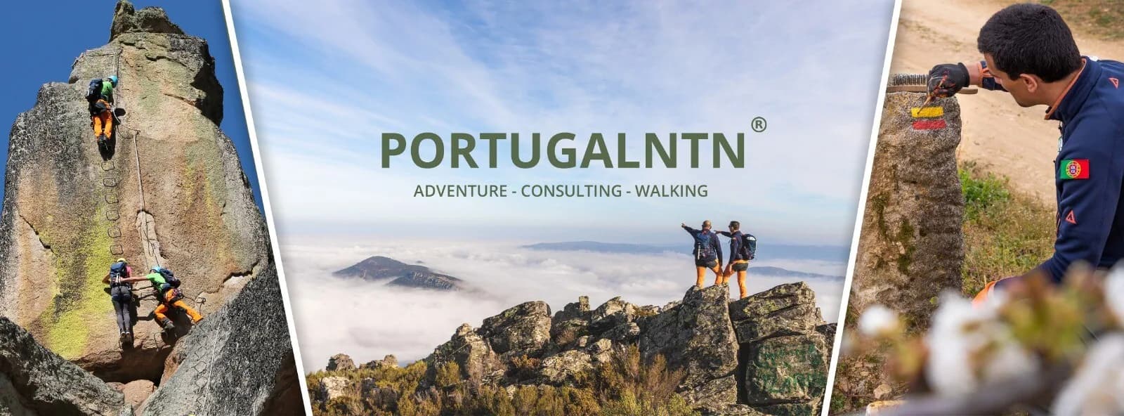 Portugal NTN