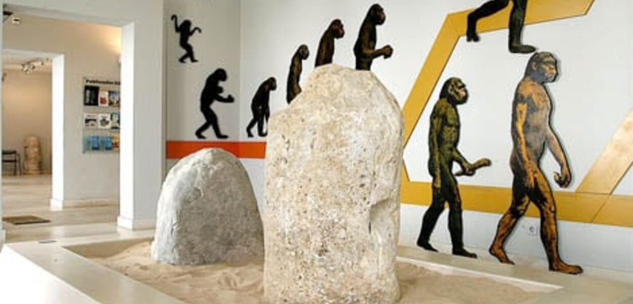 MuseuMunicipaldeArqueologia