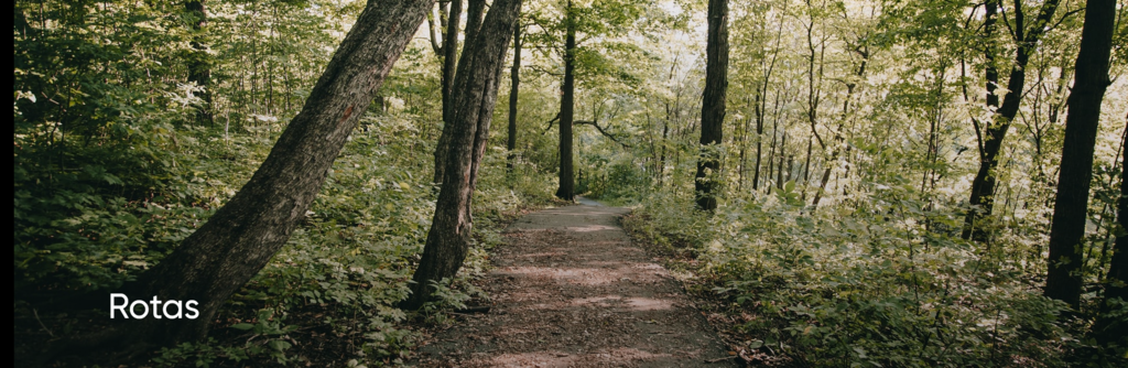 Screenshot 2024-02-12 at 15-27-55 Arquivo de Rotas &mdash; Amarante Tourism