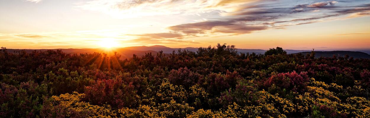 Serra da Malcata - Penamacor