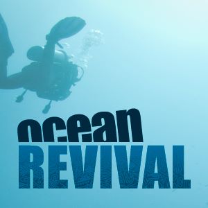 421838_313506665371508_1991486009_n