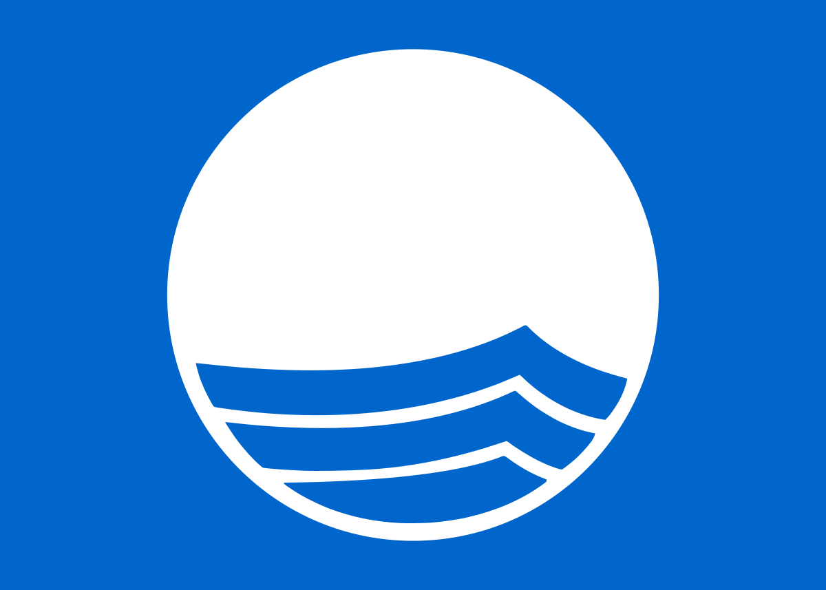 1200px-Blue_Flag_Logo.svg
